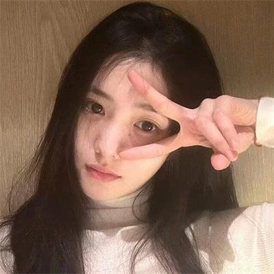 历劫蔷薇