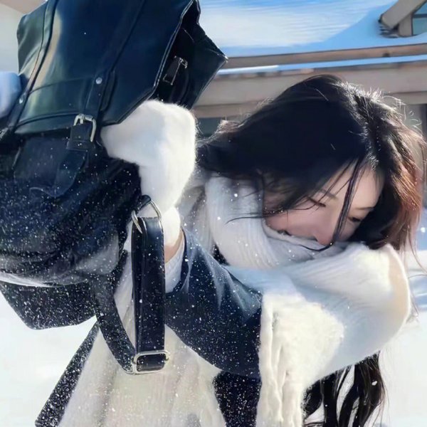 龙凤春光
